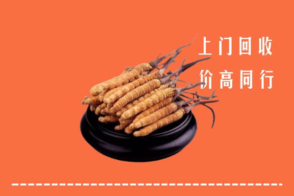 高价求购：重庆市綦江区回收散虫草