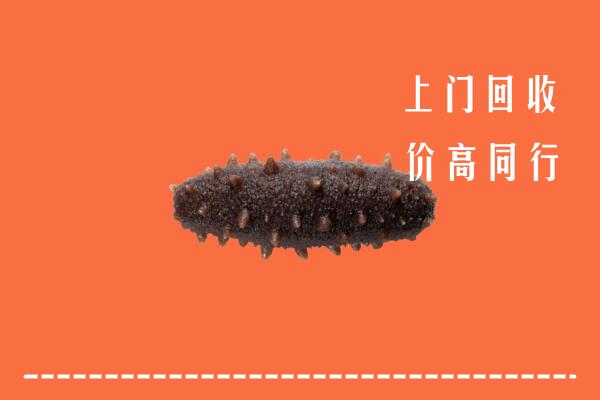 高价求购：重庆市綦江区回收海参