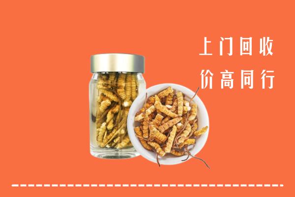 重庆市綦江区回收冬虫夏草