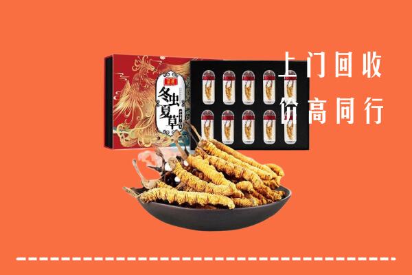 重庆市綦江区回收虫草